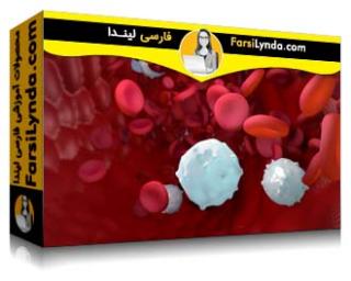 لیندا _ آموزش مایا : مبانی انیمیشن های پزشکی (با زیرنویس فارسی AI)