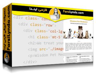 لیندا _ آموزش ساخت یک وب سایت سریع ، تمیز و ارزان با الگوهای بوت استرپ (با زیرنویس فارسی AI)